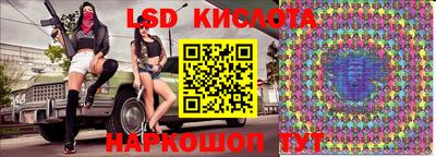 прущие грибы Канаш