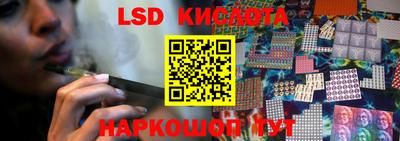 прущие грибы Канаш