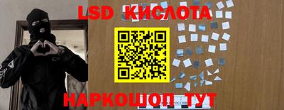 Альфа ПВП Камышлов