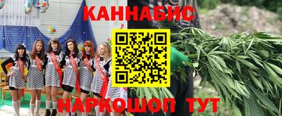 Альфа ПВП Камышлов