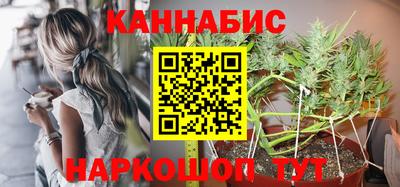 Альфа ПВП Камышлов