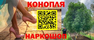 дурь Кандалакша